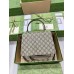 Gucci Dionysus Small Top Handle Bag in GG Canvas with Taupe Suede