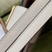 Gucci Padlock Small Shoulder Bag in GG Canvas with White Calfskin