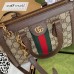 Gucci Ophidia Small Tote Bag in GG Canvas with Brown Leather