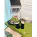 Gucci Horsebit Sandals 75mm in Black Leather