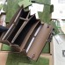 Gucci Dionysus Mini Chain Wallet in Beige GG Supreme Canvas
